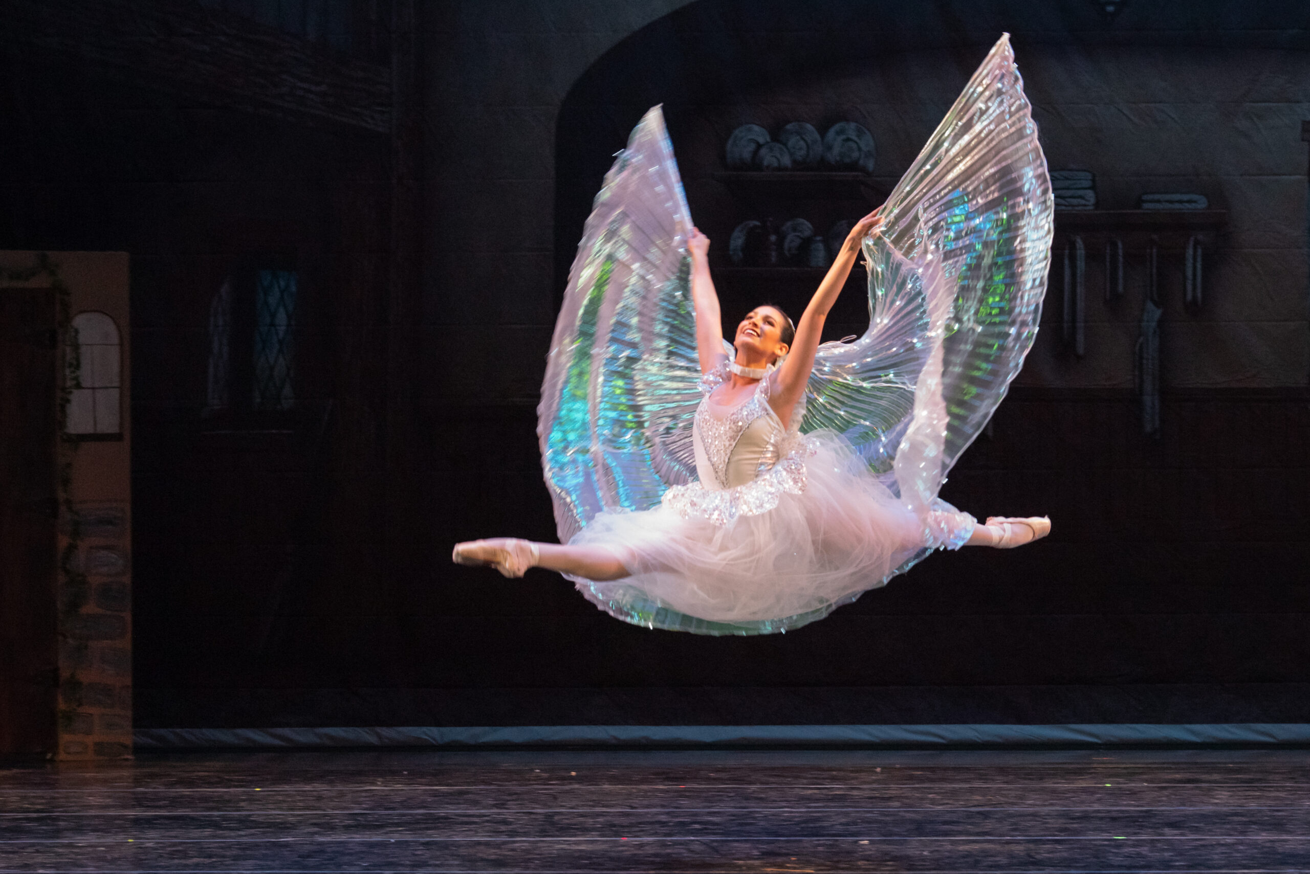 Open Call for Performing Artists!